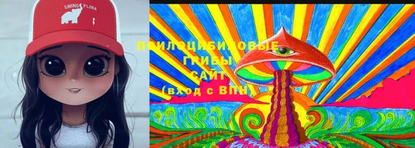 прущие грибы Арсеньев