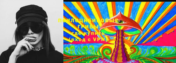соль ск Армянск