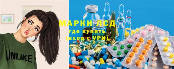 прущие грибы Арсеньев