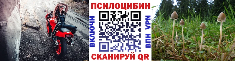 Галлюциногенные грибы мухоморы  Купить  Сурск 