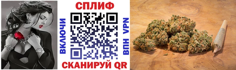 Купить закладки  Сурск  Марихуана THC 21% 